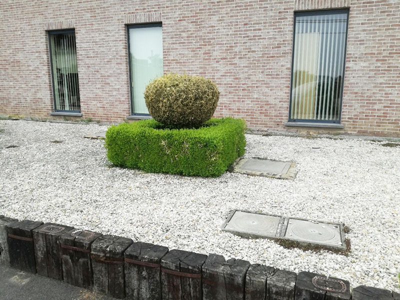 01_Plantations_semis_Arboriste_elagueur_Tournai_Louis_Herrier_Elagage_Espaces_verts