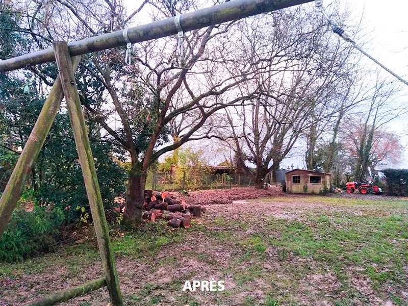 02_Abattage_Arboriste_elagueur_Tournai_Louis_Herrier_Elagage_Espaces_verts