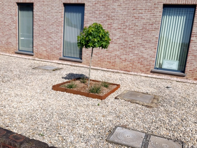 02_Plantations_semis_Arboriste_elagueur_Tournai_Louis_Herrier_Elagage_Espaces_verts