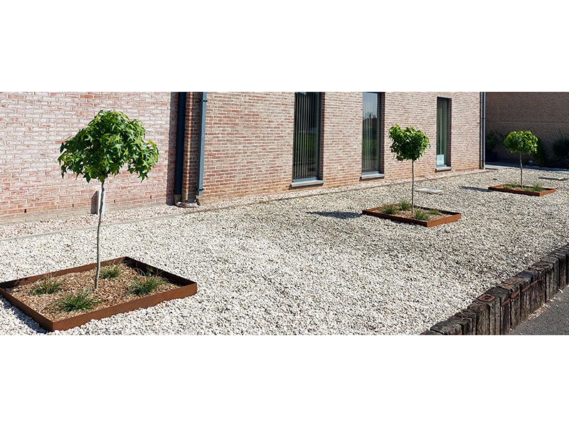 03_Plantations_semis_Arboriste_elagueur_Tournai_Louis_Herrier_Elagage_Espaces_verts
