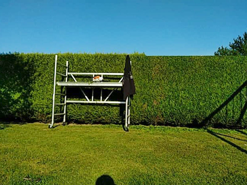 10_Tailles_Haie_Arboriste_elagueur_Tournai_Louis_Herrier_Elagage_Espaces_verts