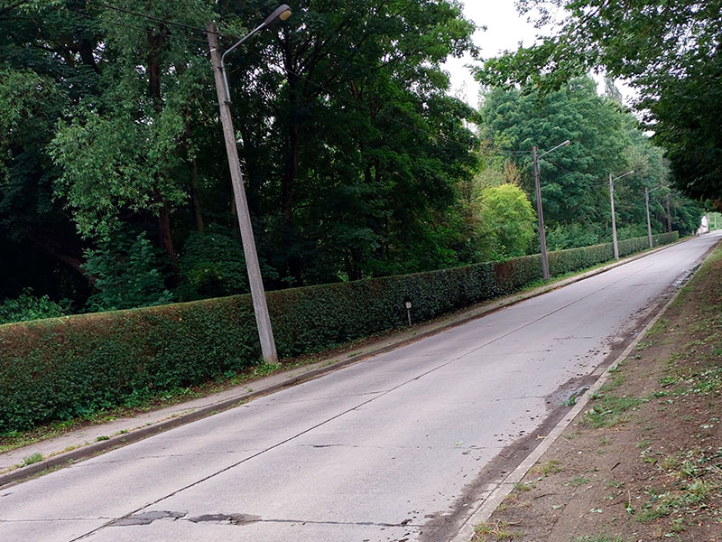 13_Tailles_Haie_Arboriste_elagueur_Tournai_Louis_Herrier_Elagage_Espaces_verts