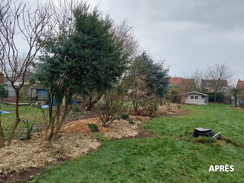 02_Tailles_Arbustes_Entretien_jardins_Arboriste_elagueur_Tournai_Louis_Herrier_Elagage_Espaces_verts