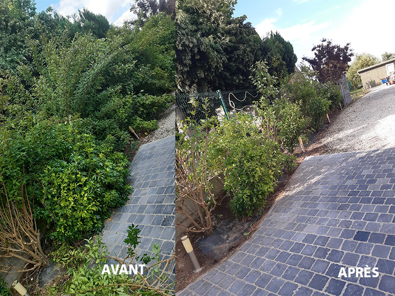 04_Tailles_Arbustes_Entretien_jardins_Arboriste_elagueur_Tournai_Louis_Herrier_Elagage_Espaces_verts