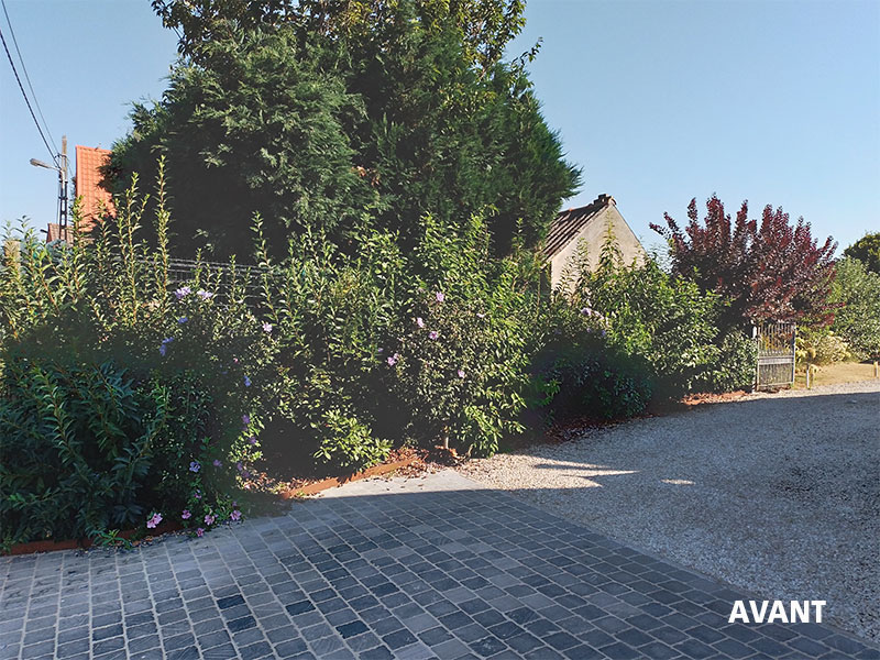 05_Tailles_Arbustes_Entretien_jardins_Arboriste_elagueur_Tournai_Louis_Herrier_Elagage_Espaces_verts