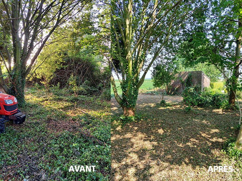 06_Gyrobroyage_Arboriste_elagueur_Tournai_Louis_Herrier_Elagage_Espaces_verts