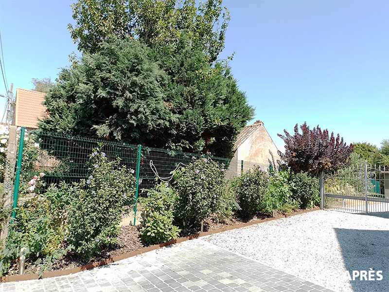 06_Tailles_Arbustes_Entretien_jardins_Arboriste_elagueur_Tournai_Louis_Herrier_Elagage_Espaces_verts