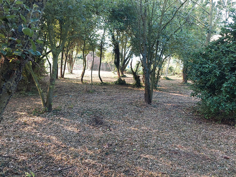 07_Gyrobroyage_Arboriste_elagueur_Tournai_Louis_Herrier_Elagage_Espaces_verts