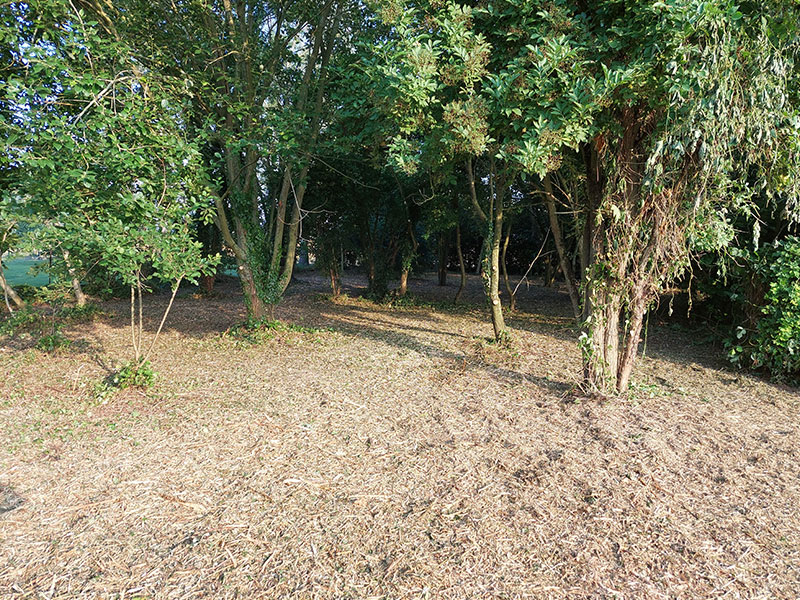 08_Gyrobroyage_Arboriste_elagueur_Tournai_Louis_Herrier_Elagage_Espaces_verts
