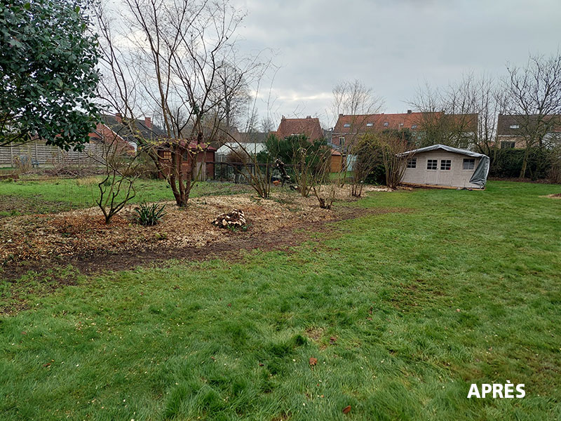 08_Tailles_Arbustes_Entretien_jardins_Arboriste_elagueur_Tournai_Louis_Herrier_Elagage_Espaces_verts