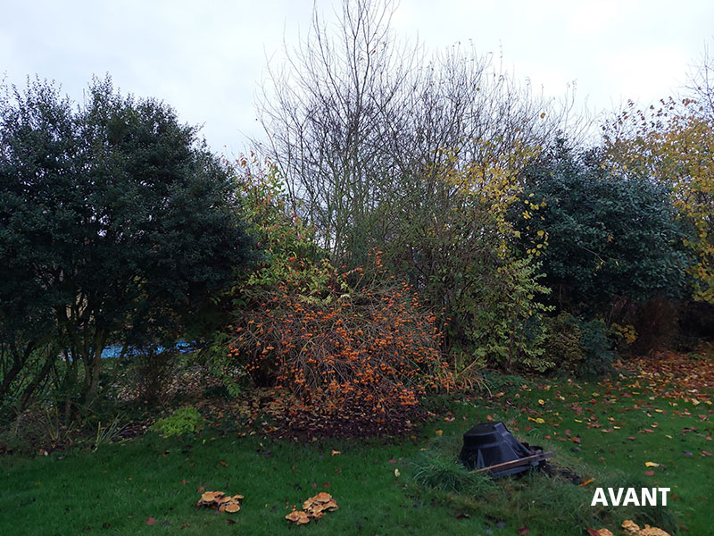 09_Tailles_Arbustes_Entretien_jardins_Arboriste_elagueur_Tournai_Louis_Herrier_Elagage_Espaces_verts