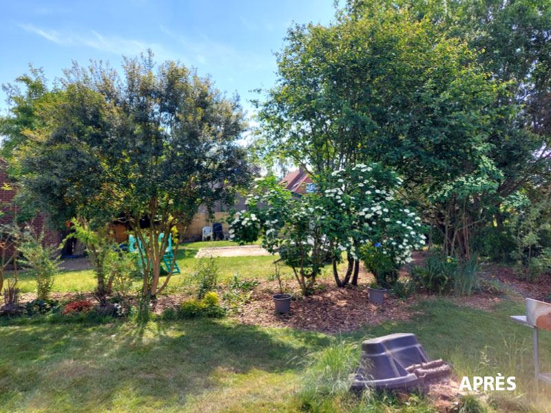 10_Tailles_Arbustes_Entretien_jardins_Arboriste_elagueur_Tournai_Louis_Herrier_Elagage_Espaces_verts