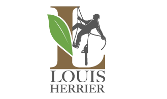 Aboriste – elagueur Louis Herrier