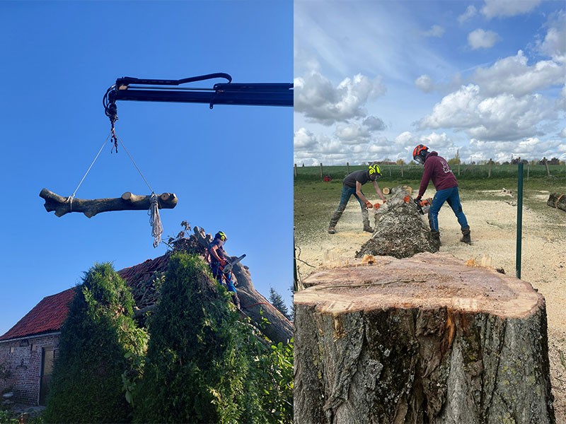 13_Abattage_Arboriste_elagueur_Tournai_Louis_Herrier_Elagage_Espaces_verts
